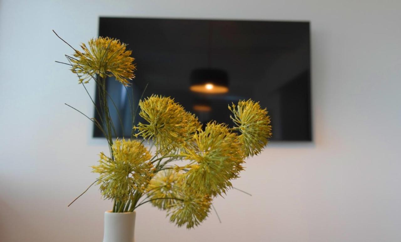 Apartment Flora Pula